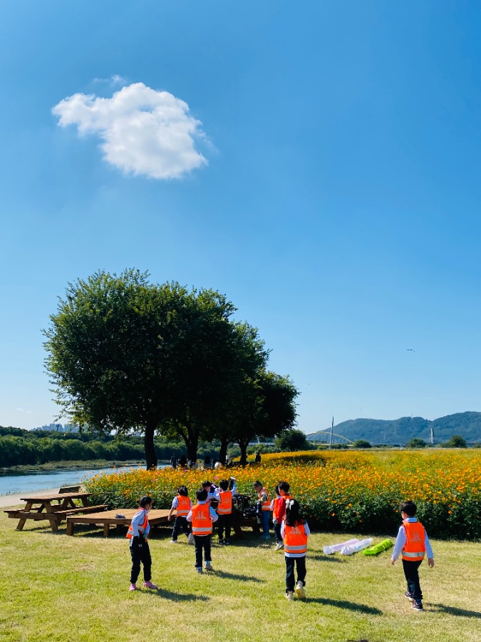 ♡가을코스모스 산책♡