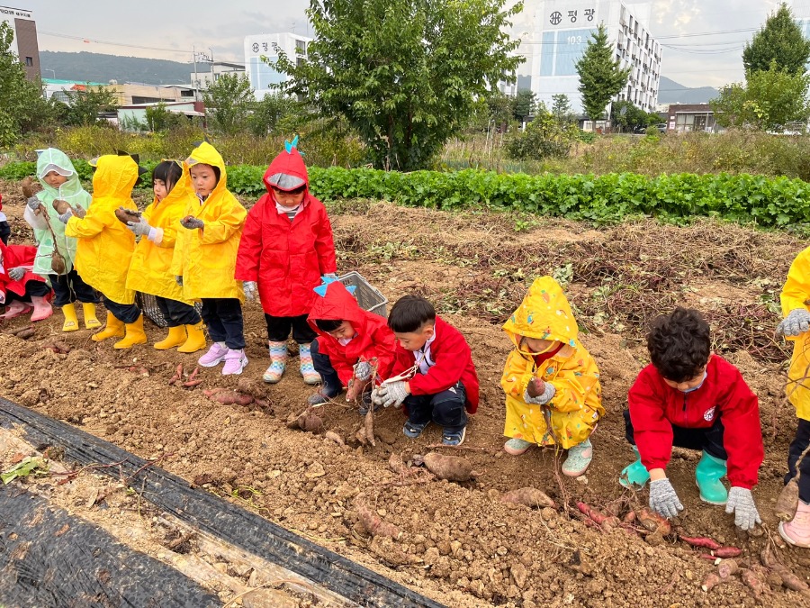 이야기 포토