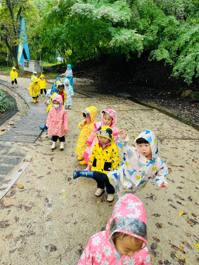 ♡비오는날 가을 숲 산책♡