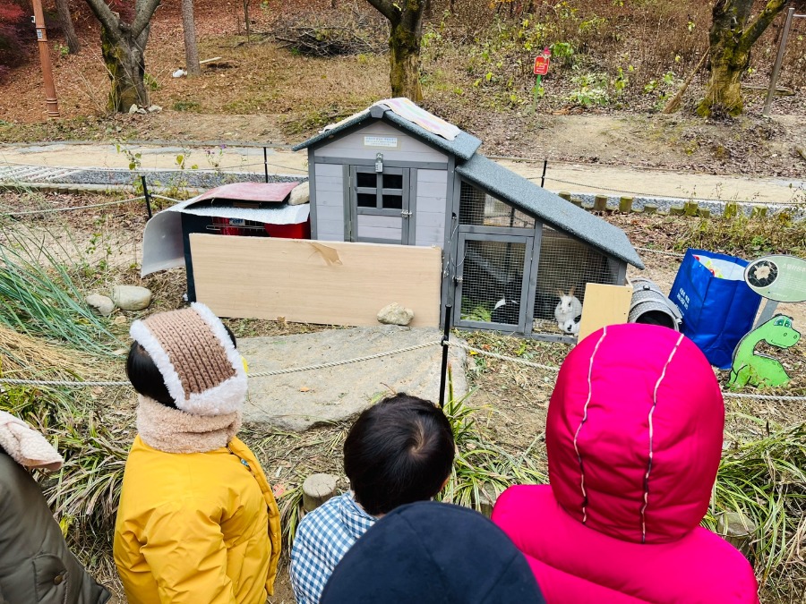 ♡숲체험 - 아기토끼가 태어났어요♡