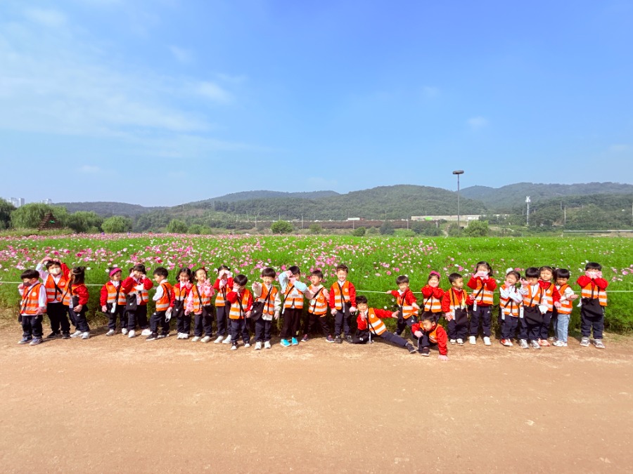 ♡가을 코스모스 산책 (하중도)♡