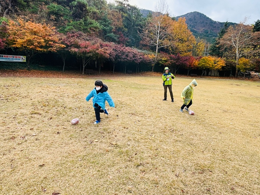 ♥ 숲 체험-낙엽 축구♥