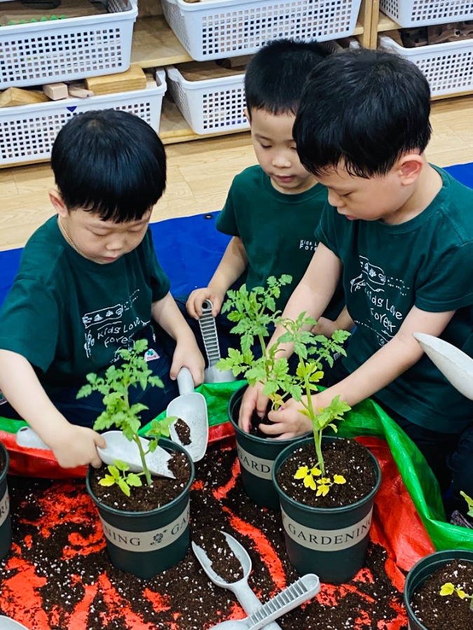 ♡찾아가는 도시농업학교♡ - 방울토마토 모종심기