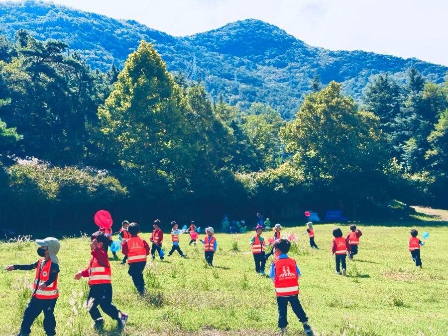 ♡숲체험 - 곤충 채집♡